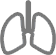 滋補(bǔ)肝腎